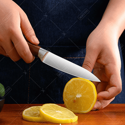 Japanese Santoku Knife – 6.7" Professional Stainless Steel Chef's Knife