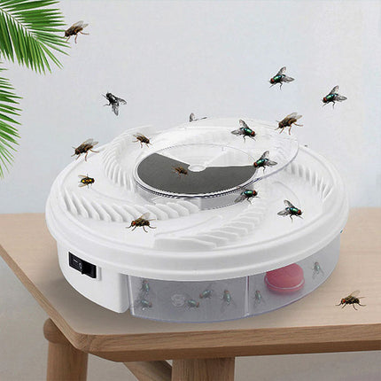 Silent Fly Trap for Home – Chemical-Free Insect Control for Kitchen & Living Room