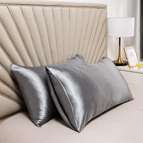 19.7 x 26.0 in- 2 pieces / Gray