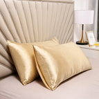 19.7 x 26.0 in- 2 pieces / Champagne