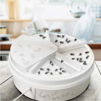 Silent Fly Trap for Home – Chemical-Free Insect Control for Kitchen & Living Room