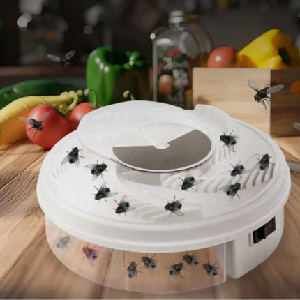 Silent Fly Trap for Home – Chemical-Free Insect Control for Kitchen & Living Room