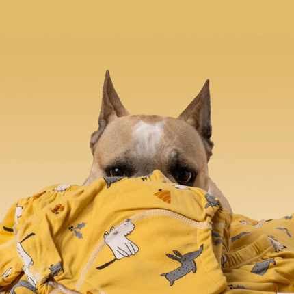 Reusable Washable Cloth Diapers – Eco-Friendly Baby Diapers with Fun Prints